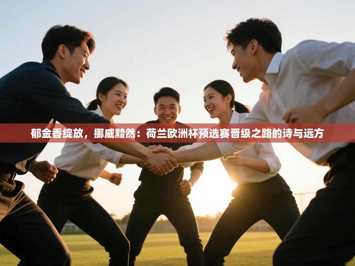 郁金香绽放,挪威黯然:荷兰欧洲杯预选赛晋级之路的诗与远方 第2张